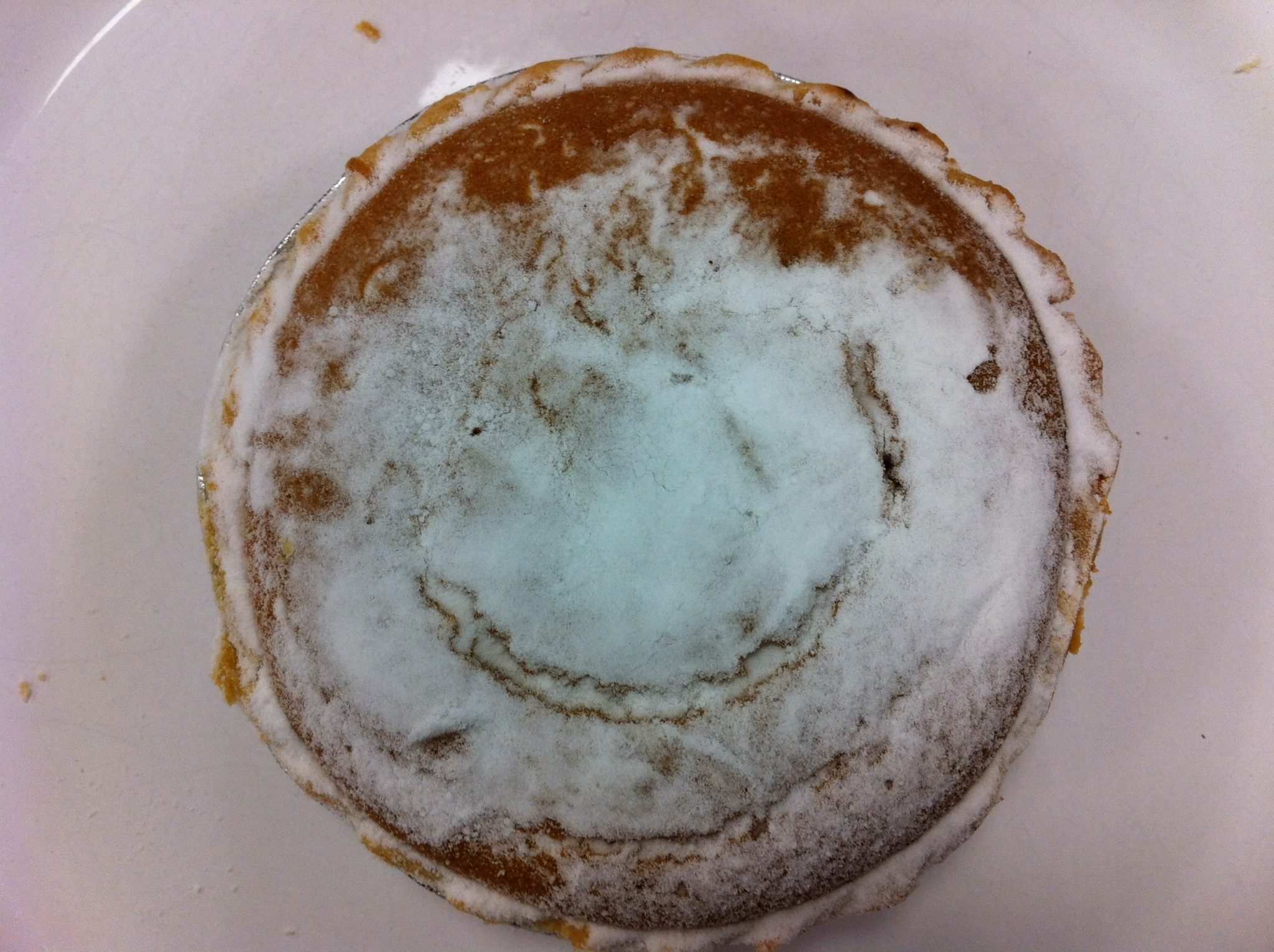 20111219 COSTCO Kirkland Signature Mince Pies 11 Pack4 Mince Pie Club.